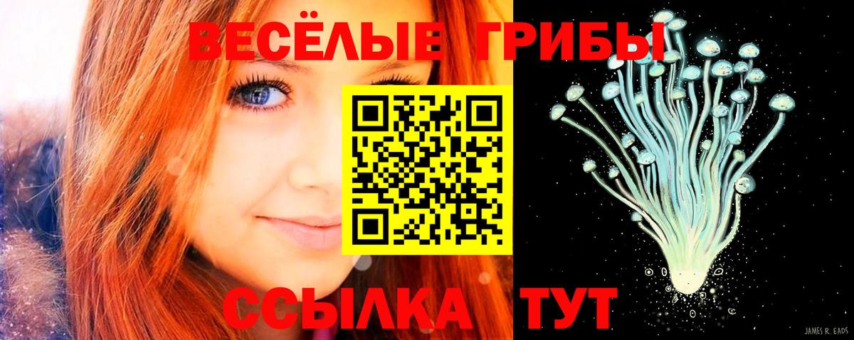Галлюциногенные грибы мухоморы  Псилоцибиновые грибы Cubensis  Вход с VPN  Симферополь 